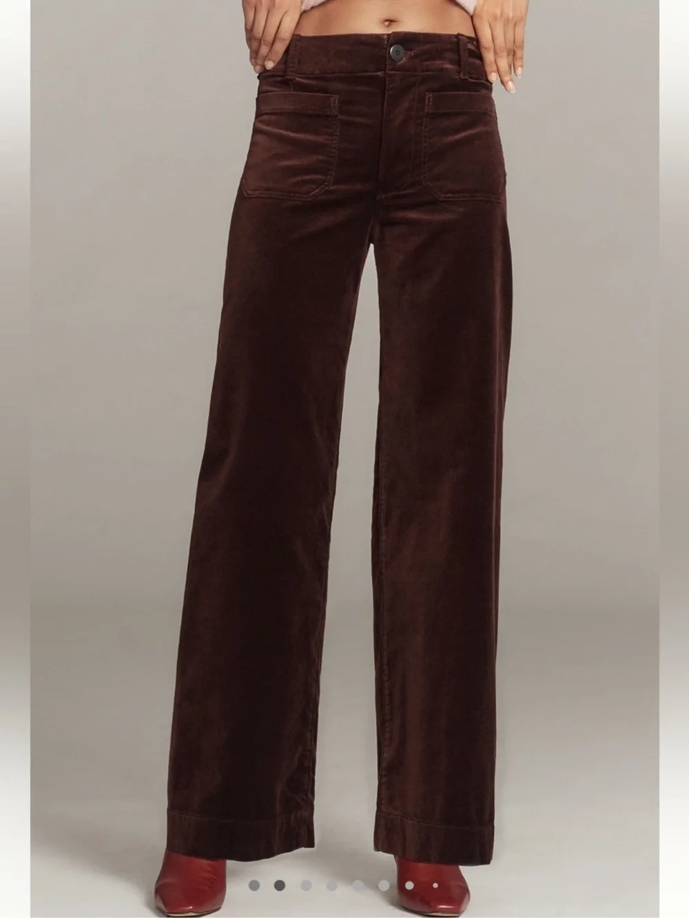 Maeve Anthropologie Colette Full Length Wide leg brown velvet pants 24